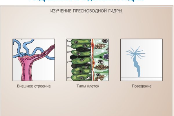 Как найти кракен в торе