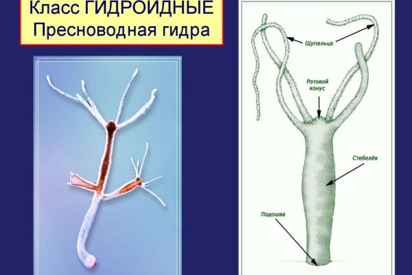 Кракен даркнет аккаунт